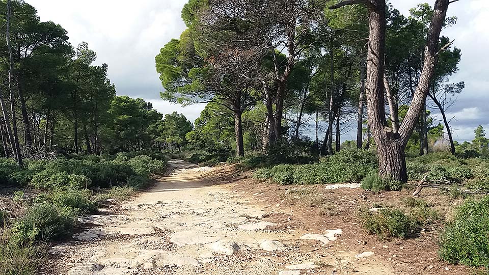 Réserve naturelle de Sainte-Lucie