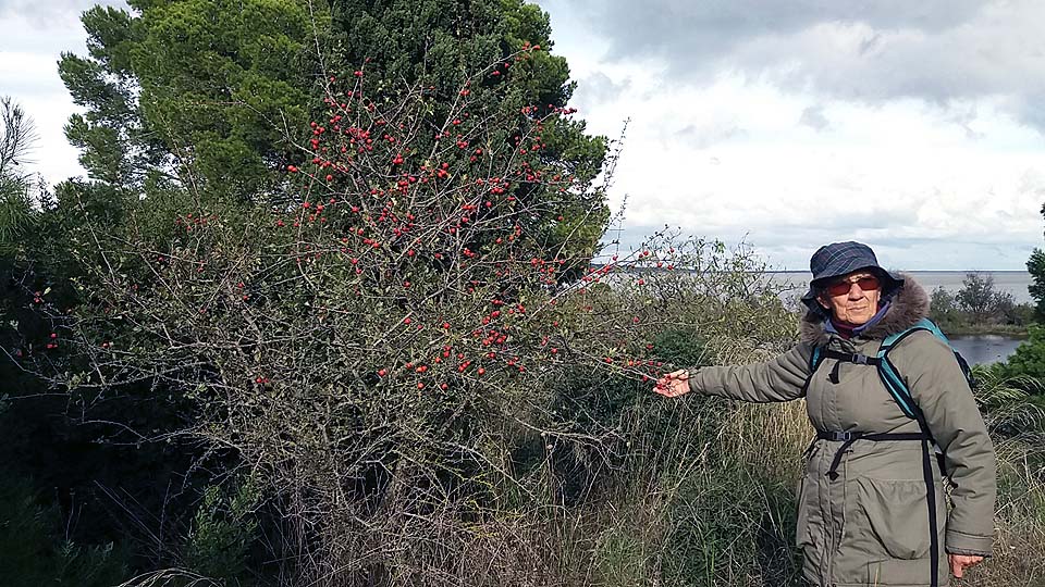 Réserve naturelle de Sainte-Lucie