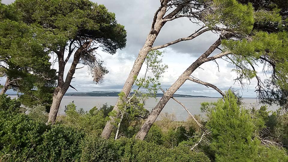 Réserve naturelle de Sainte-Lucie