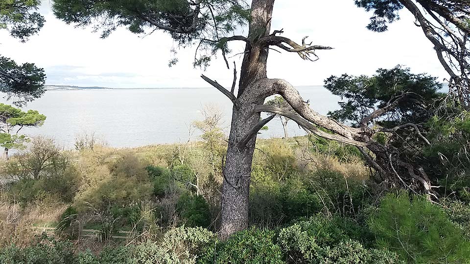 Réserve naturelle de Sainte-Lucie