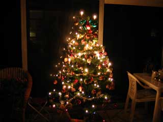 ( Le sapin de Noël dans la véranda )