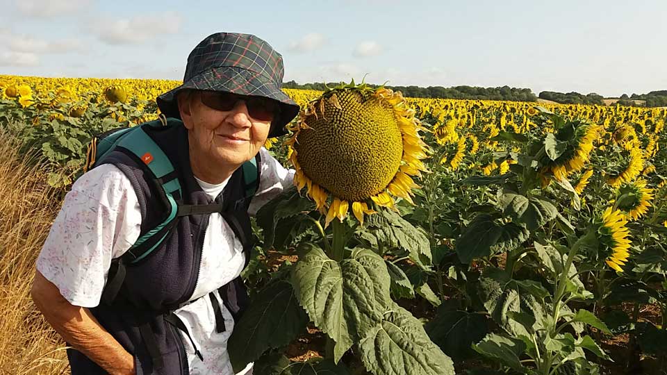 Fernande et le tournesol