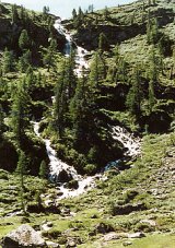 ( Partie moyenne du Vallon de Réchy )