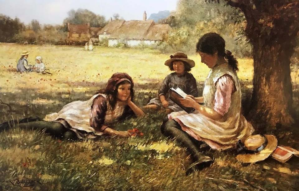 A summer's day - Reading in the shadow