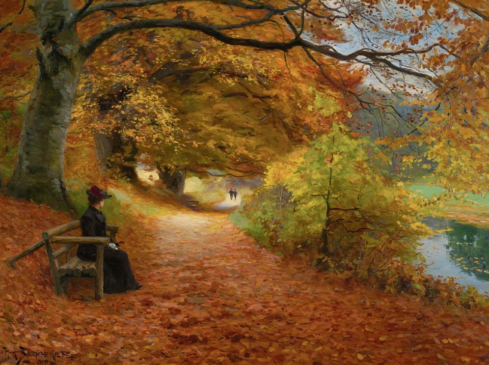 A wooded path in autumn
