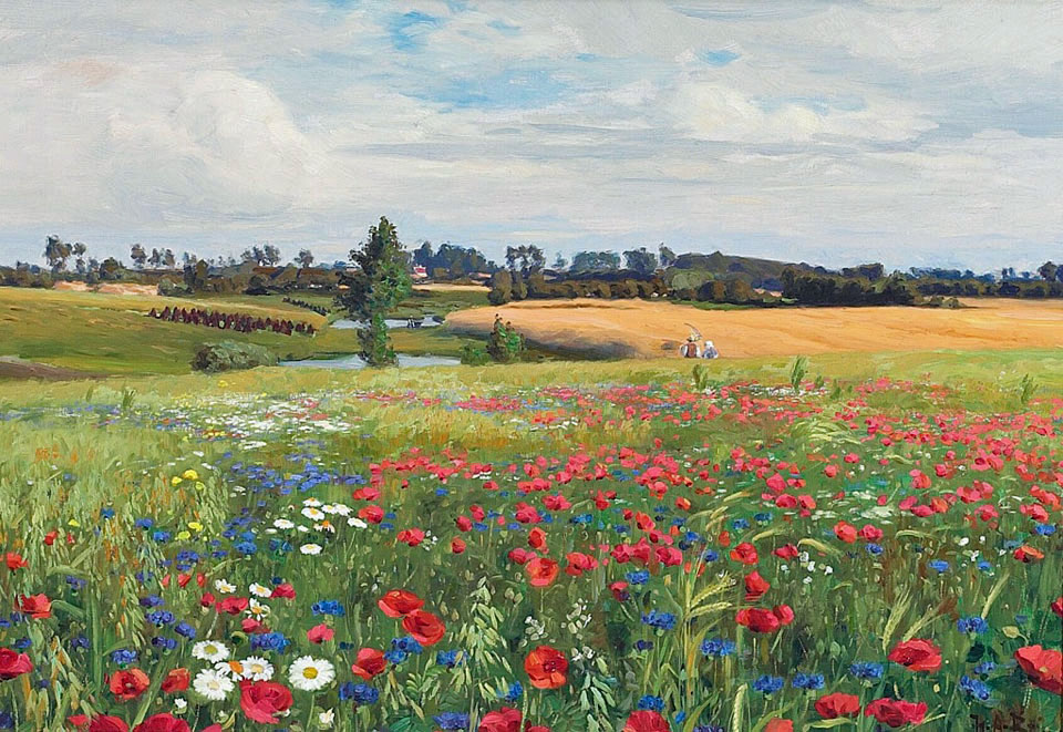 Field with poppies and daisies