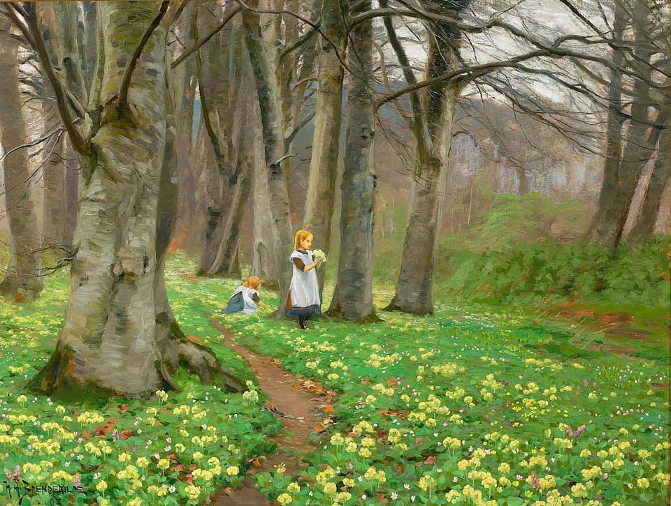 Two girls picking flowers in the forest in springtime