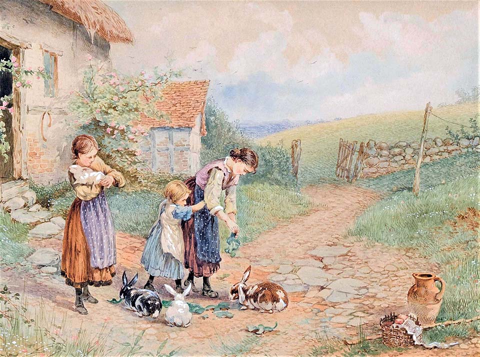 Girl feeding rabbits