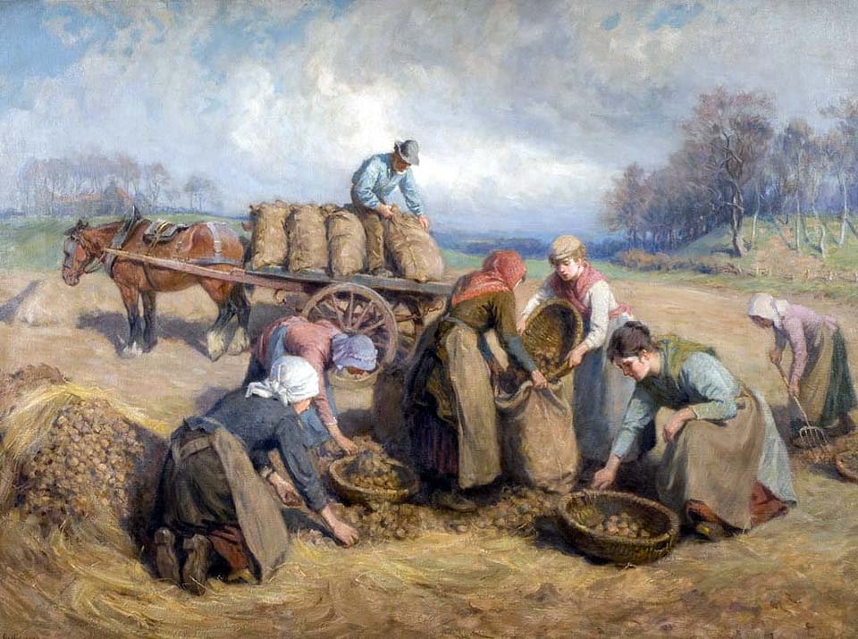 Potato gatherers Northumberland
