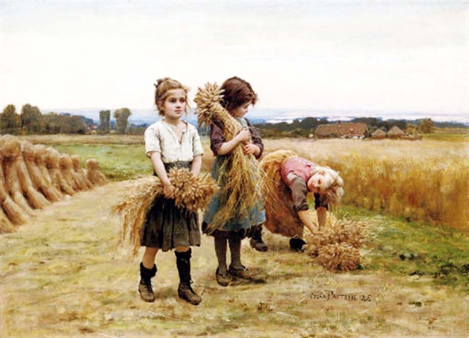 The young harvesters