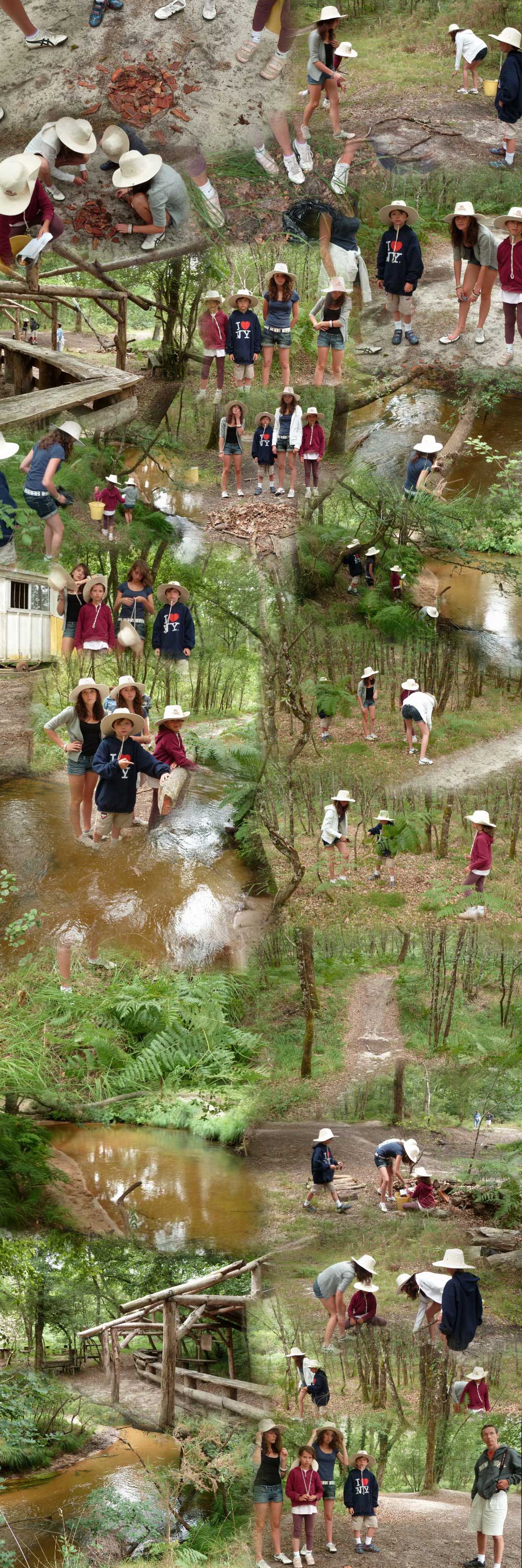 collage les explorateurs de la jungle à Pissos