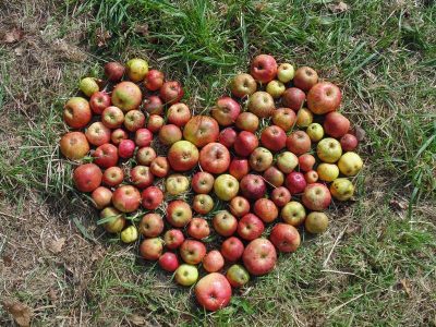 coeur de pommes