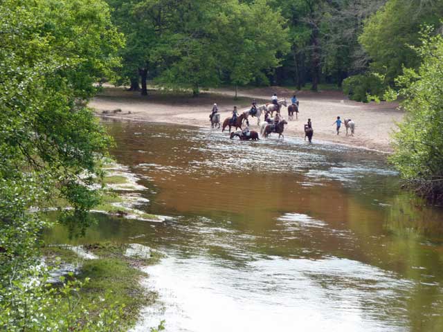 arrive des chevaux sur la plage de Testarrouman