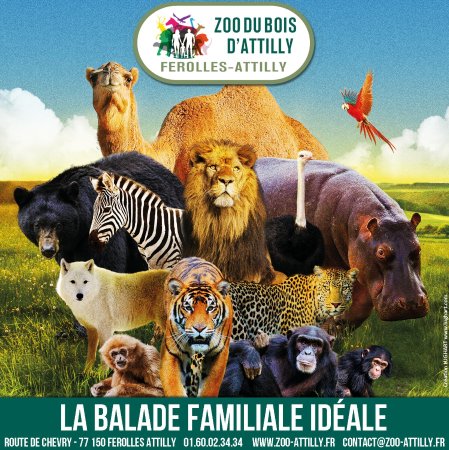 zoo du Bois d'Attilly